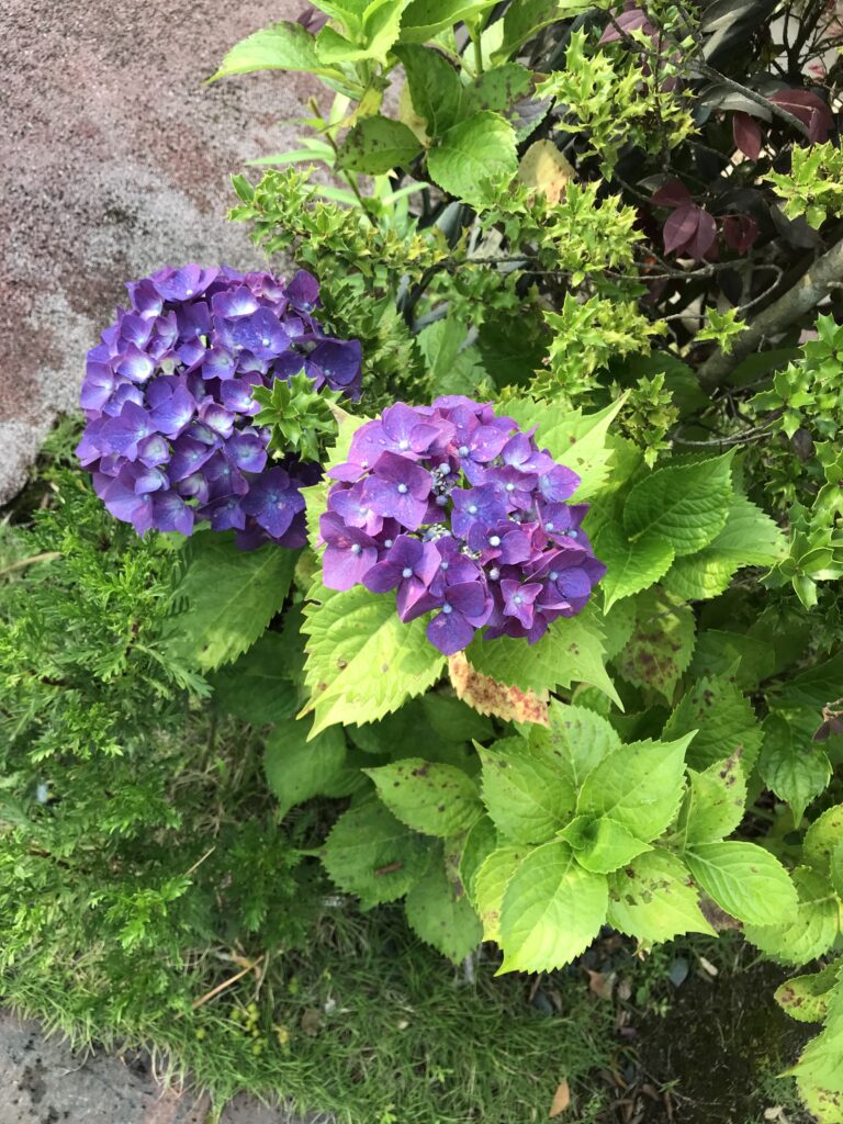 ブログ担当Nです！よろしくお願い致します！！【鹿児島市・姶良市・日置市のリフォーム専門店リビングプラザ滝の神】